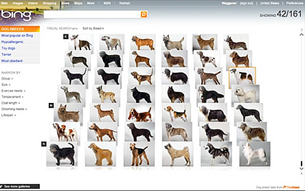 Bing Visual Search