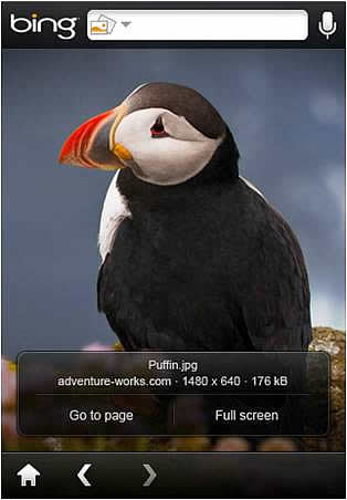 Bing for mobile comes to the iPhone